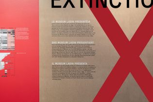 Countdown to mass extinction for Museum Ladin: exhibition design - graphic design