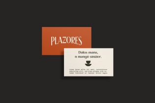 Plazores: Brand strategy, positioning, brand identity, communication strategy