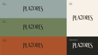 Plazores: Brand strategy, positioning, brand identity, communication strategy